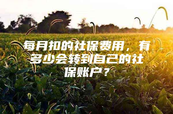 每月扣的社保费用，有多少会转到自己的社保账户？