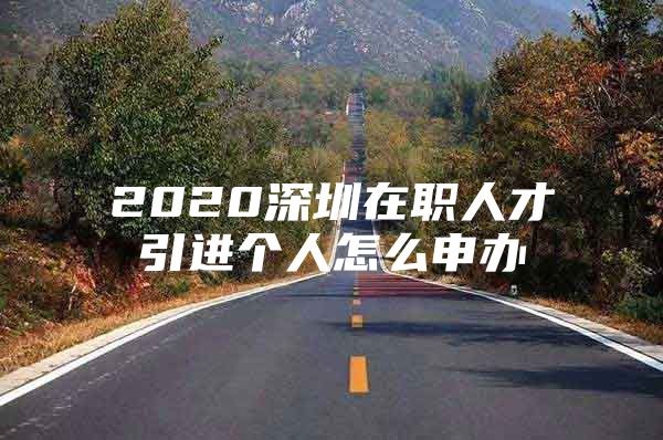 2020深圳在职人才引进个人怎么申办