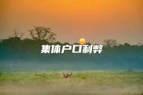 集体户口利弊