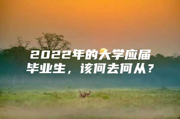 2022年的大学应届毕业生，该何去何从？