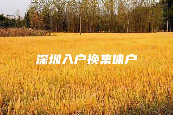 深圳入户换集体户