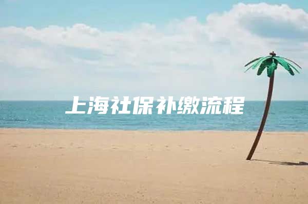 上海社保补缴流程
