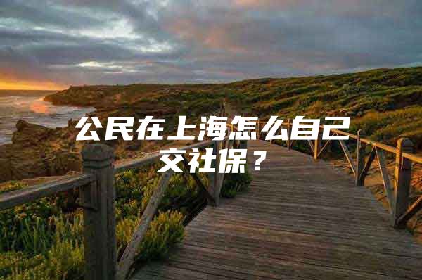公民在上海怎么自己交社保？