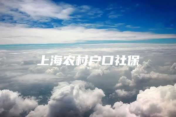上海农村户口社保