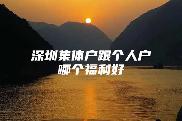 深圳集体户跟个人户哪个福利好