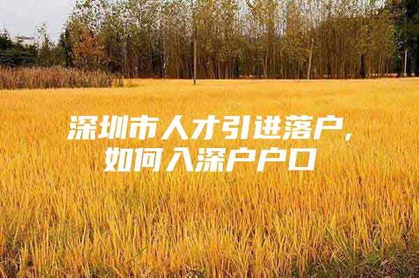 深圳市人才引进落户,如何入深户户口