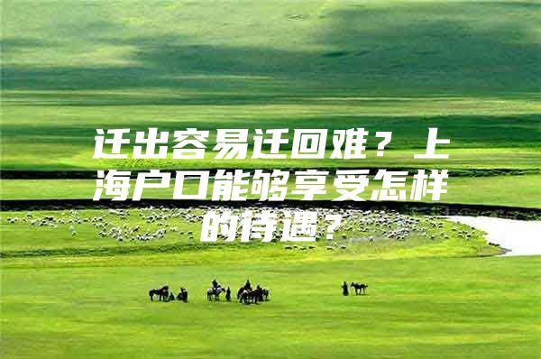 迁出容易迁回难？上海户口能够享受怎样的待遇？