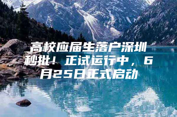 高校应届生落户深圳秒批！正试运行中，6月25日正式启动