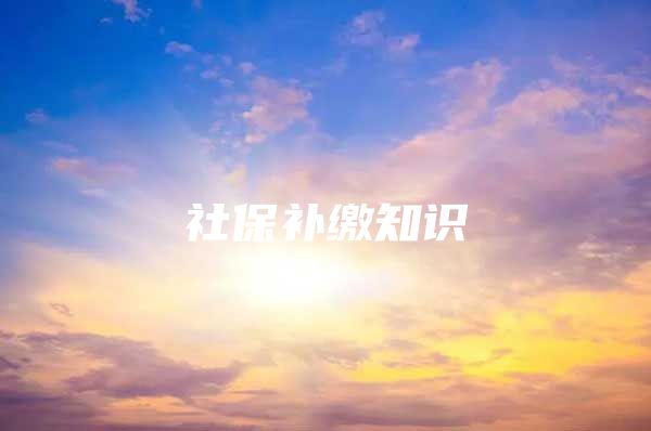 社保补缴知识