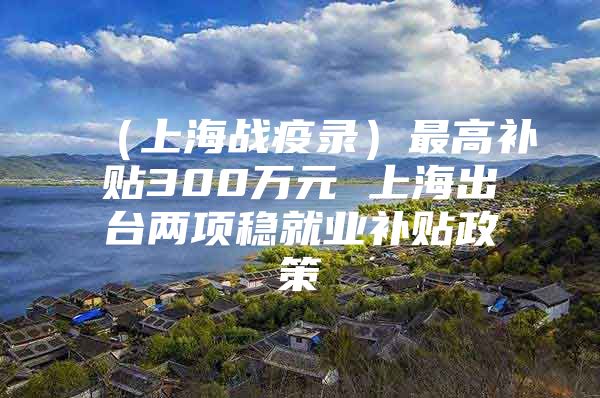（上海战疫录）最高补贴300万元 上海出台两项稳就业补贴政策