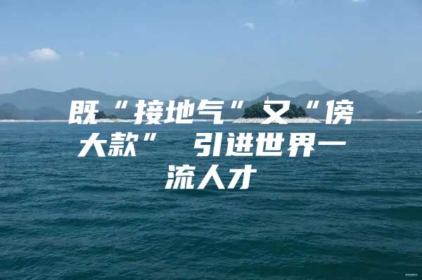 既“接地气”又“傍大款” 引进世界一流人才
