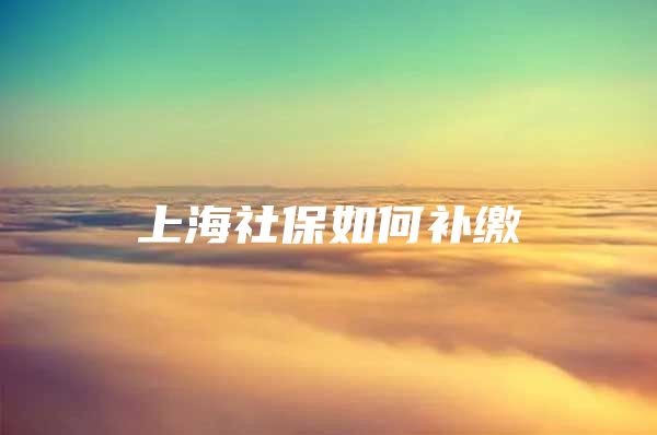 上海社保如何补缴