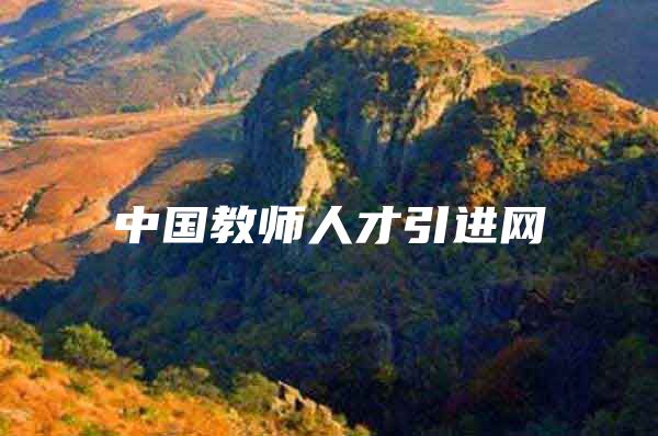 中国教师人才引进网