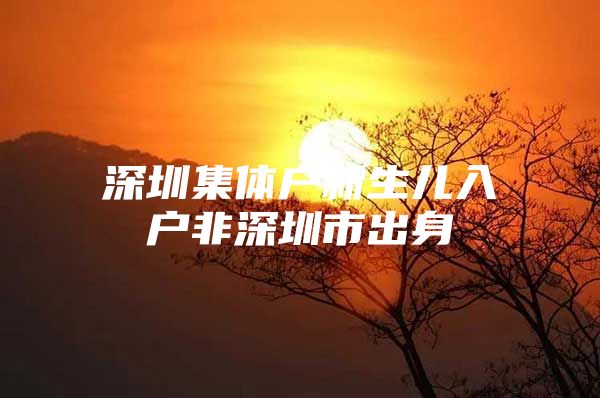 深圳集体户新生儿入户非深圳市出身