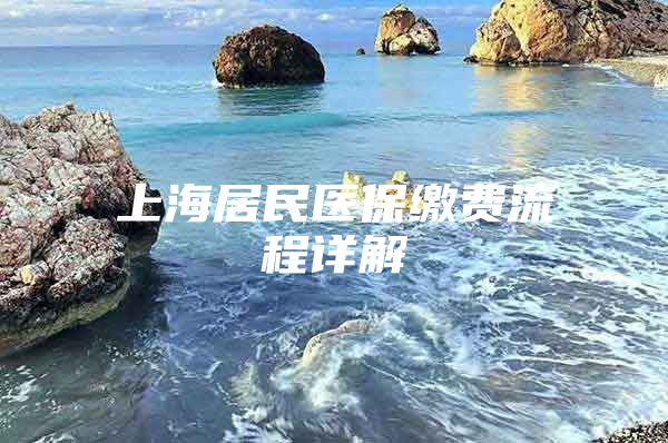 上海居民医保缴费流程详解
