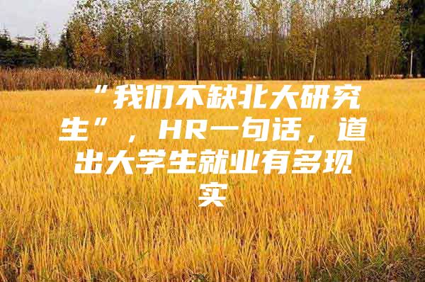 “我们不缺北大研究生”，HR一句话，道出大学生就业有多现实