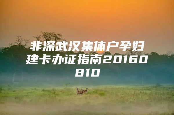 非深武汉集体户孕妇建卡办证指南20160810