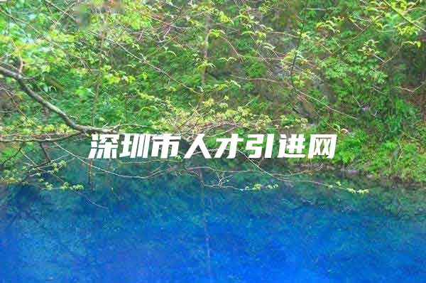 深圳市人才引进网