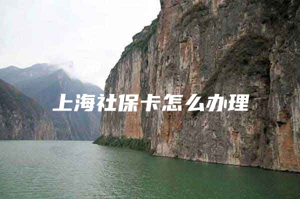 上海社保卡怎么办理