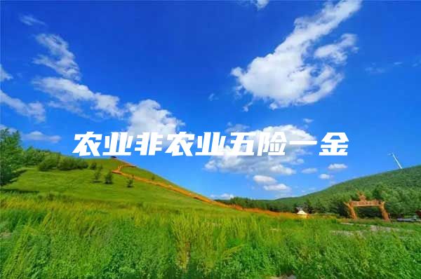 农业非农业五险一金