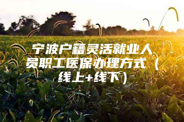 宁波户籍灵活就业人员职工医保办理方式（线上+线下）
