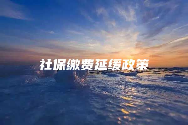 社保缴费延缓政策