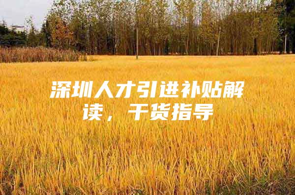 深圳人才引进补贴解读，干货指导