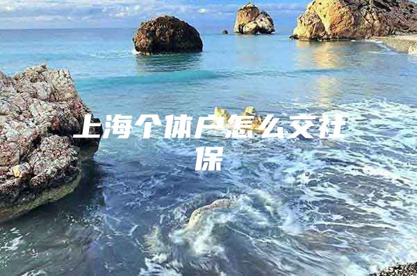 上海个体户怎么交社保