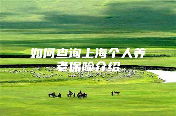如何查询上海个人养老保险介绍