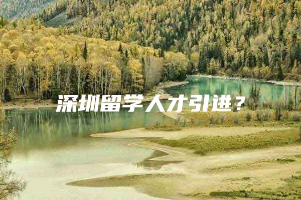 深圳留学人才引进？
