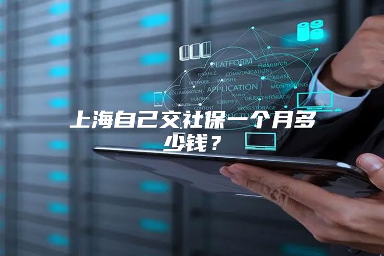 上海自己交社保一个月多少钱？