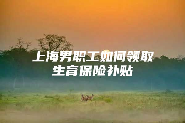 上海男职工如何领取生育保险补贴