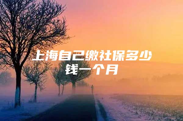 上海自己缴社保多少钱一个月