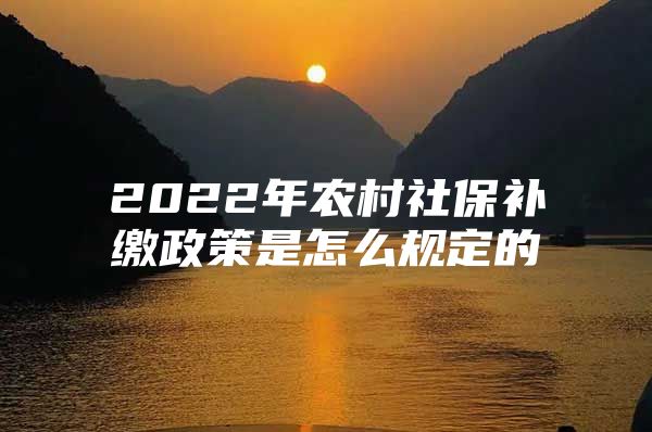2022年农村社保补缴政策是怎么规定的