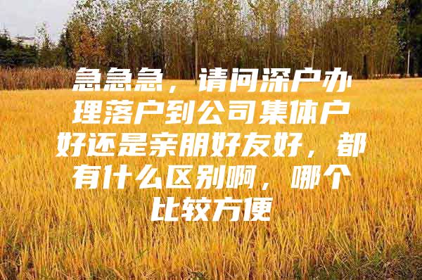 急急急，请问深户办理落户到公司集体户好还是亲朋好友好，都有什么区别啊，哪个比较方便