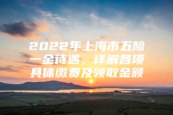 2022年上海市五险一金待遇，详解各项具体缴费及领取金额