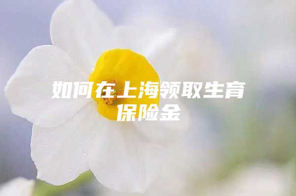如何在上海领取生育保险金