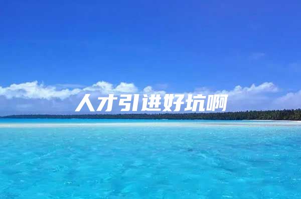 人才引进好坑啊