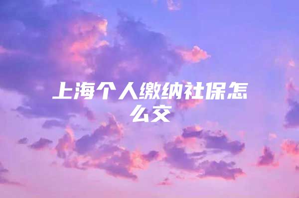 上海个人缴纳社保怎么交