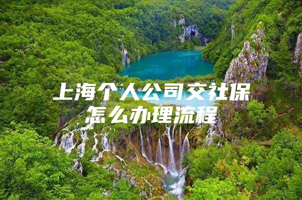 上海个人公司交社保怎么办理流程