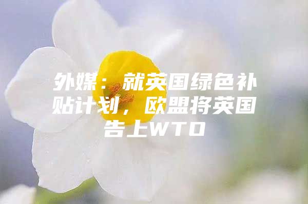 外媒：就英国绿色补贴计划，欧盟将英国告上WTO