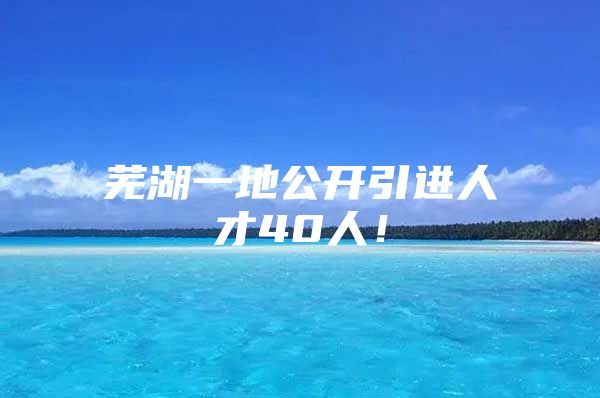 芜湖一地公开引进人才40人！