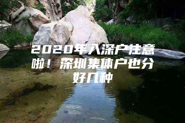 2020年入深户注意啦！深圳集体户也分好几种
