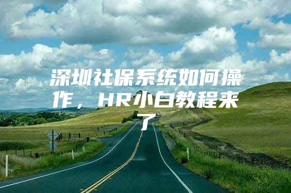 深圳社保系统如何操作，HR小白教程来了