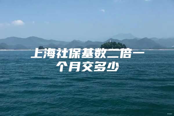 上海社保基数二倍一个月交多少