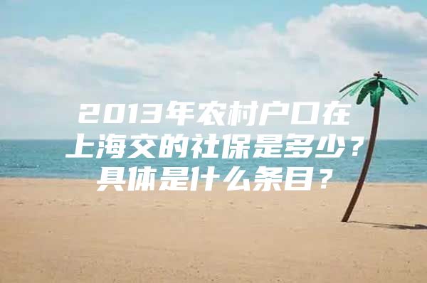 2013年农村户口在上海交的社保是多少？具体是什么条目？