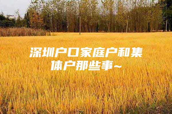 深圳户口家庭户和集体户那些事~