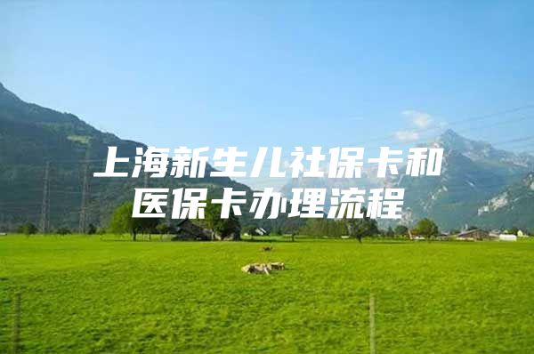 上海新生儿社保卡和医保卡办理流程