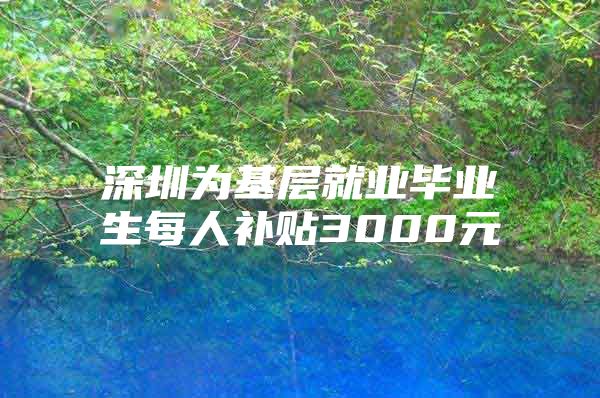 深圳为基层就业毕业生每人补贴3000元