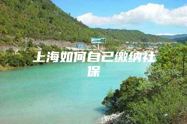 上海如何自己缴纳社保